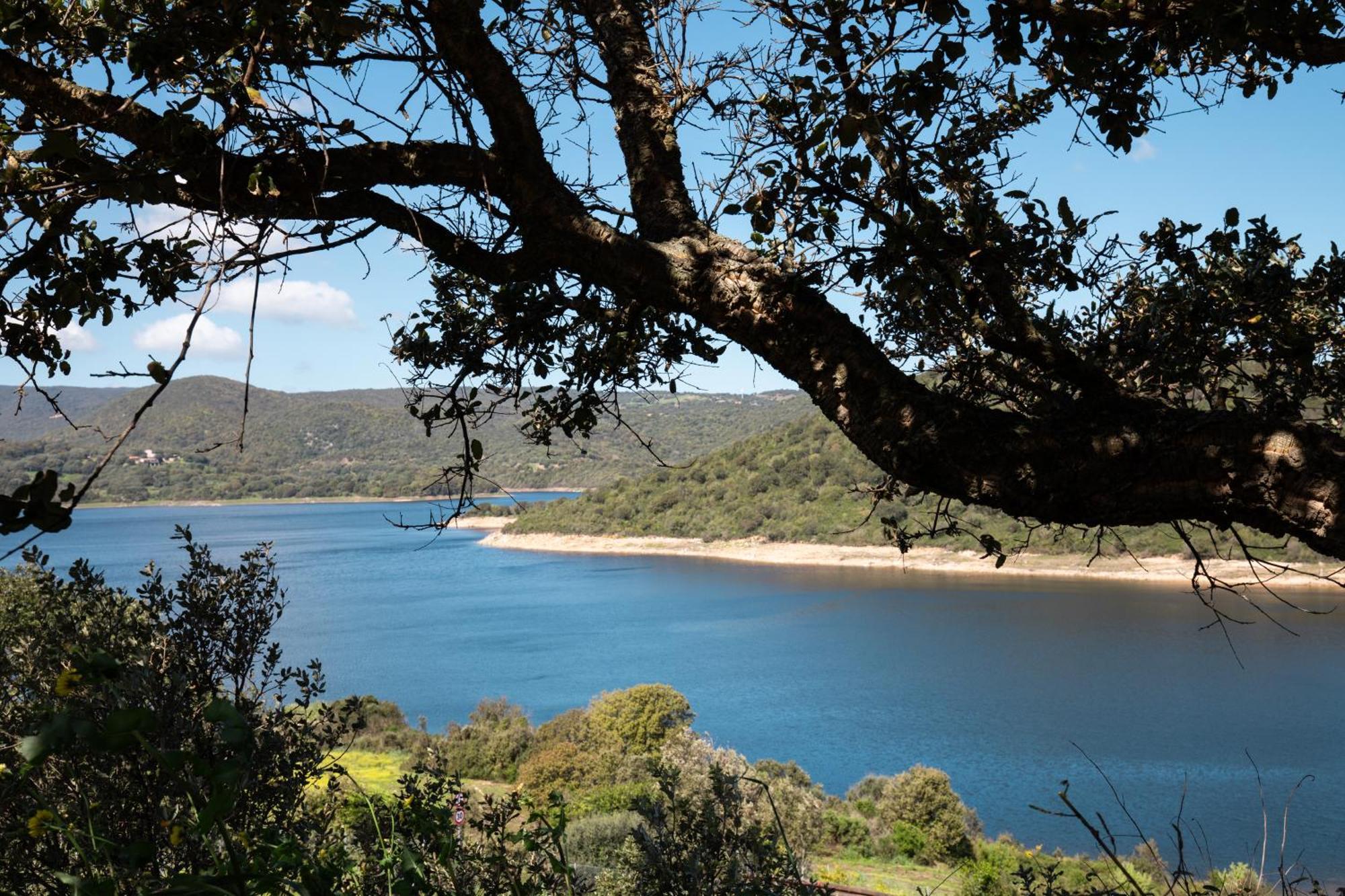 Zaira Home Free Wi-Fi 5 Minuti Dal Lago Liscia Sant'Antonio di Gallura Zewnętrze zdjęcie